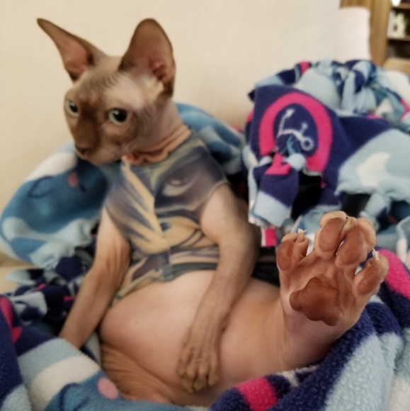 are you having your best day possible? - Picture 9 of 15